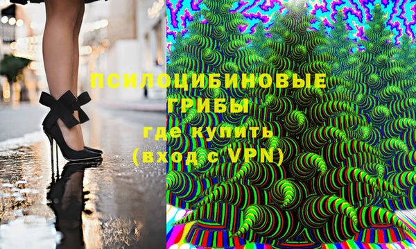 ГАЛЛЮЦИНОГЕННЫЕ ГРИБЫ Богородицк