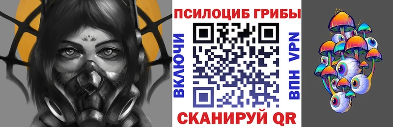 Купить закладки  Подольск  Галлюциногенные грибы GOLDEN TEACHER 