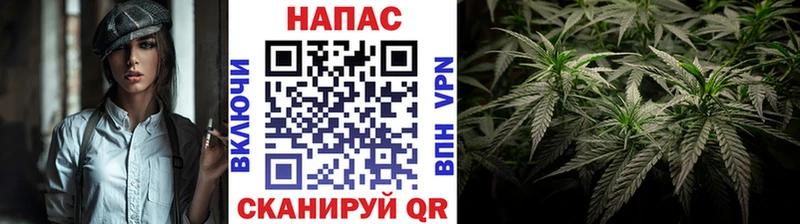 Купить где  Подольск  Конопля индика 
